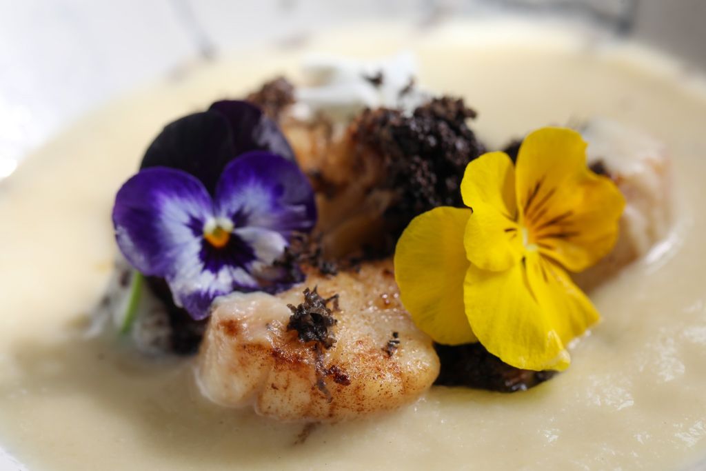 Close-up van een gastronomisch gerecht met gebakken sint-jakobsschelpen, gegarneerd met een paarse en gele eetbare bloem. De sint-jakobsschelpen rusten op een romige witte saus, gegarneerd met donkere verkruimelde truffelstukjes en een klodder room. De presentatie is elegant en artistiek. | Echt Ierland Vakanties