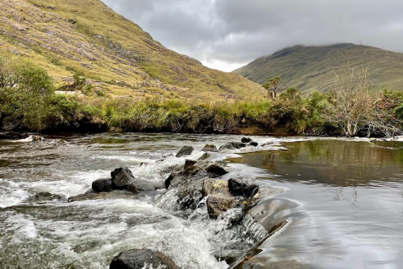 Een stromend beekje met wit water ruist over rotsen op de voorgrond, omringd door groene struiken. Op de achtergrond rijzen grasheuvels op onder een bewolkte hemel, waardoor een vredig, natuurlijk landschap ontstaat. | Echt Ierland Vakanties